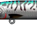 Mackerel