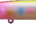 Rainbow Fluo