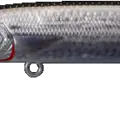 Mullet