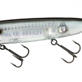 Prism Shad