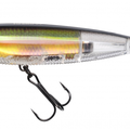 Real Golden Shiner