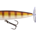 Bluegill