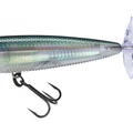 Real Gizzard Shad