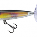 Real Golden Shiner
