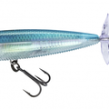 Real Blue Back Herring