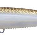 Matte Gizzard Shad