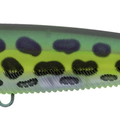 Matte Prism Frog