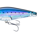 Sardine