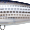 Pearl Mullet