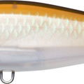 Pearl Bronze Shiner
