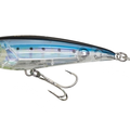 Sardine