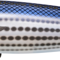 Pearl Mullet