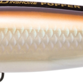 Pearl Bronze Shiner