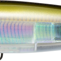 Real Anchovy
