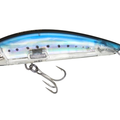 Sardine