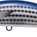 Pearl Mullet