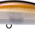 Pearl Bronze Shiner