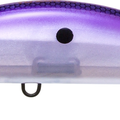 Pearl Threadfin Shad