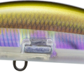 Real Anchovy