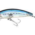 Sardine