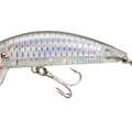 Ghost Shad