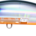 Tennessee Shad