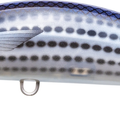 Pearl Mullet