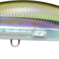 Real Anchovy