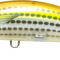 Yellow Mullet