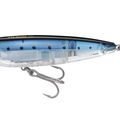 Sardine