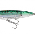 Green Mackerel