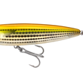 Yellow Mullet