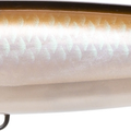 Pearl Bronze Shiner