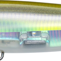 Real Anchovy