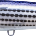 Pearl Mullet
