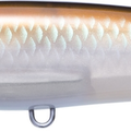 Pearl Bronze Shiner