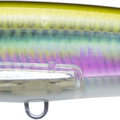 Real Anchovy