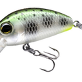 Muddler Minnow