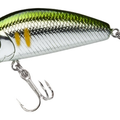 Silver Green