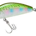 Natural Rainbow Trout