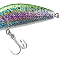 Rainbow Trout