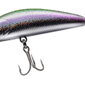 Rainbow Trout