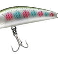 Natural Rainbow Trout