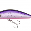 Purple Rainbow Trout