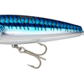 Blue Mackerel