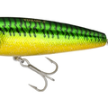 Green Mackerel