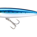 Sardine