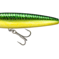 Green Mackerel