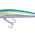 Green Mackerel