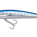 Sardine